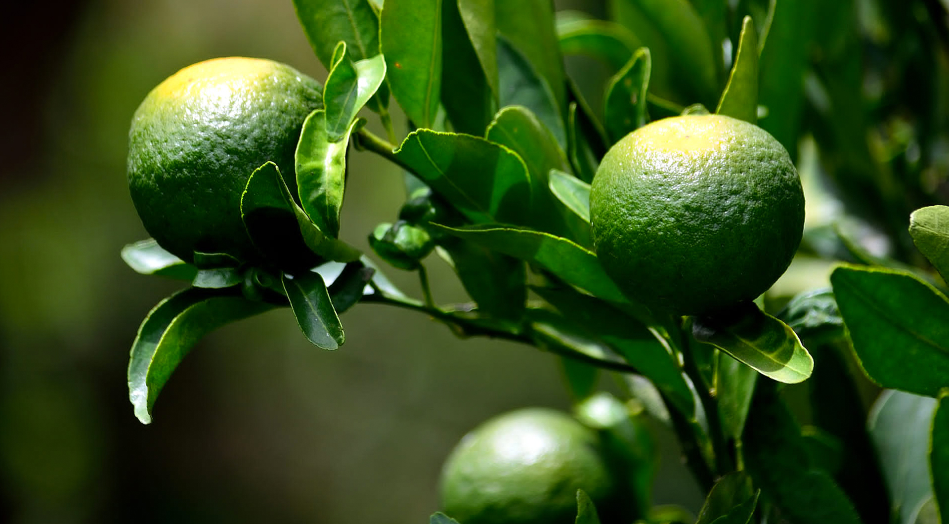 XPJ·(澳门区)公司官方网站