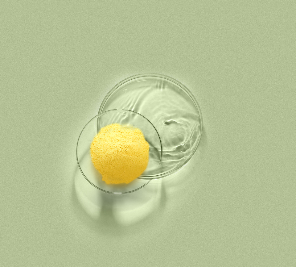 XPJ·(澳门区)公司官方网站