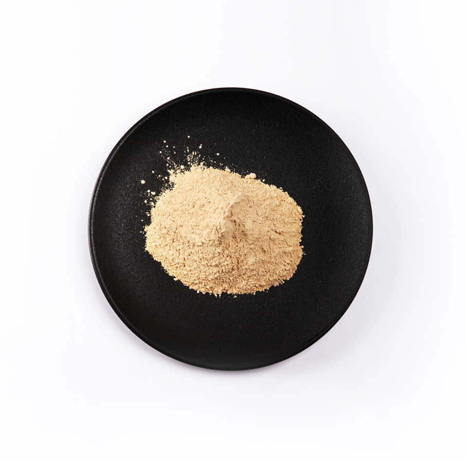 XPJ·(澳门区)公司官方网站