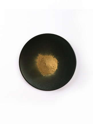 XPJ·(澳门区)公司官方网站